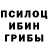 Конопля OG Kush Bistra Boyadjieva
