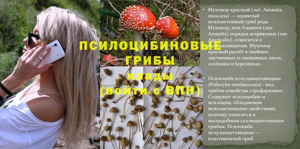бутират Ельня