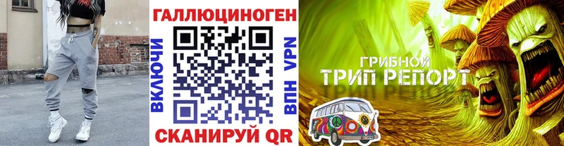 Галлюциногенные грибы Cubensis  Купить  Южно-Сахалинск 